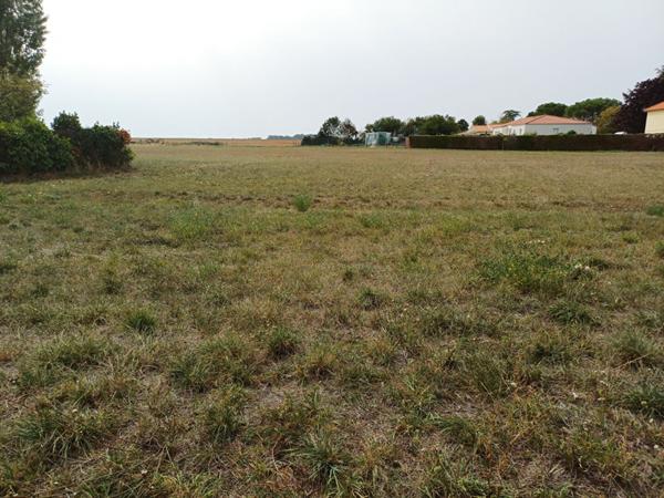 Terrain  1900 m²  1900 m²