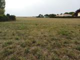 Terrain  1900 m²  1900 m²