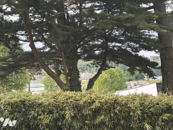 A VENDRE 56 VANNES Proximité Golfe, au calme, maison années 70, sur jardin 723 m²