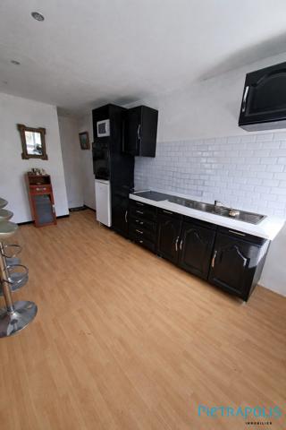 MAISON MITOYENNE 50 m² à PANISSIERES