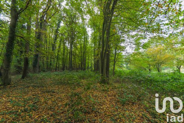 Terrain à vendre 5 000 m² Viarmes