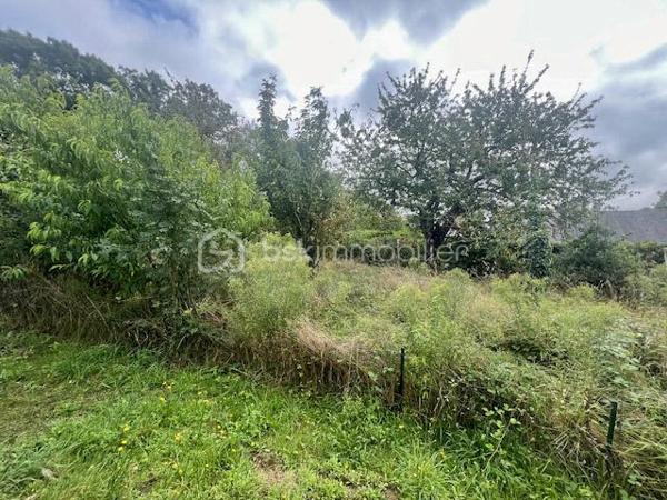 Terrain de 1 679 m²