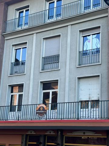 Vente Immeuble 18 pièces 432 m2 à Saint-Dié-des-Vosges