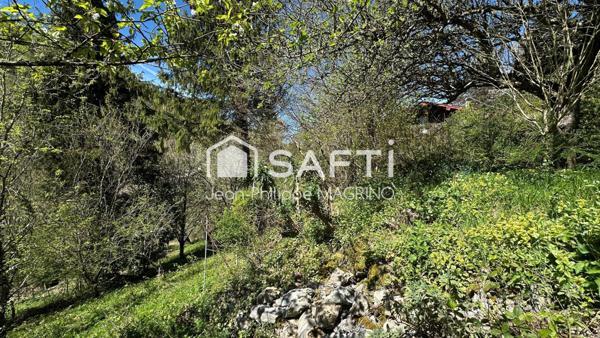 MAISON DE CARACTÈRE – 300 M² – CADRE NATUREL EXCEPTIONNEL – FORÊT DE BÉLESTA