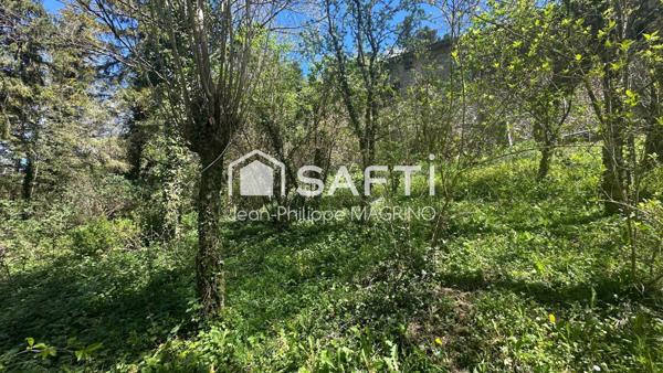 MAISON DE CARACTÈRE – 300 M² – CADRE NATUREL EXCEPTIONNEL – FORÊT DE BÉLESTA