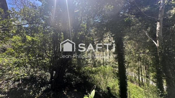 MAISON DE CARACTÈRE – 300 M² – CADRE NATUREL EXCEPTIONNEL – FORÊT DE BÉLESTA