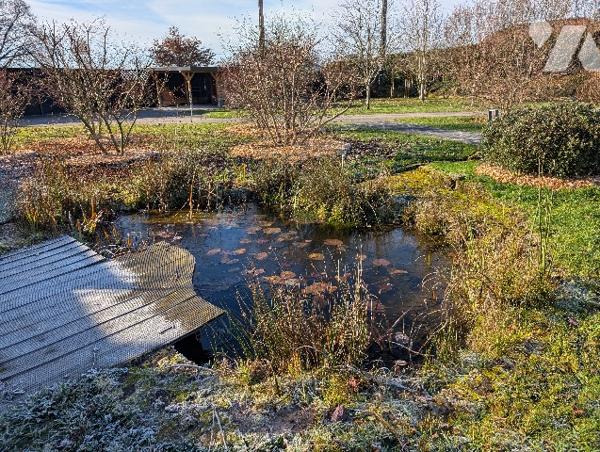 15461
A DOUNOUX (88220) 228 rue de la Gravelle