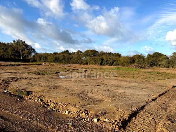 Terrain à vendre SAINT URBAIN (85)