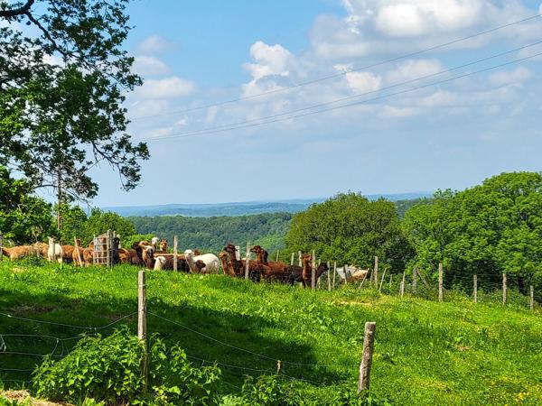 Élégante Demeure du XVIIe Siècle avec Vue Panoramique et Potentiel de Revenus – Aveyron, Occitanie