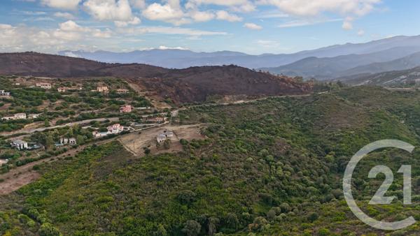 Terrain à vendre  26904 m2 ST FLORENT - 202