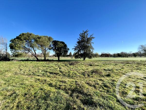 terrain à vendre  835 m2 ARTIGUELOUVE - 64