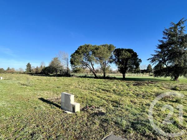 terrain à vendre  835 m2 ARTIGUELOUVE - 64