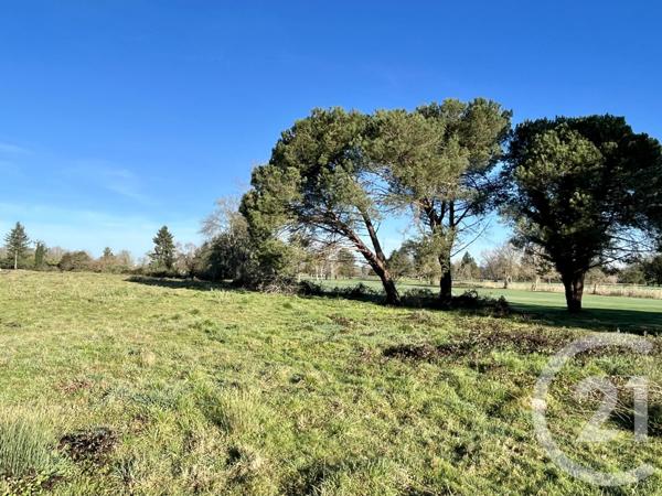 terrain à vendre  835 m2 ARTIGUELOUVE - 64