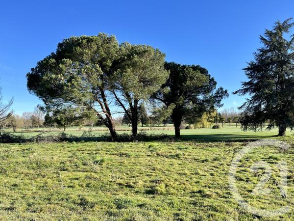 terrain à vendre  835 m2 ARTIGUELOUVE - 64