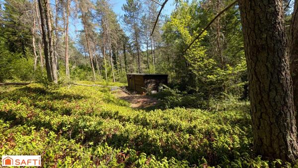 Dans un endroit bucolique terrain de loisir