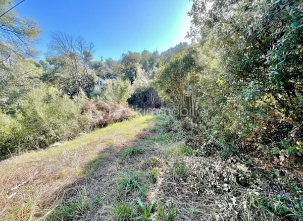 Terrain de 4 104 m²