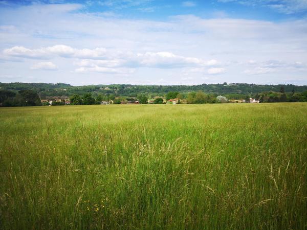 Terrain à LE BUISSON-DE-CADOUIN, 24480 - 1098m²