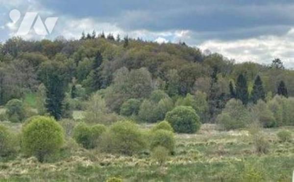 Maison à Vendre à La Chapelle-Taillefert (23000) en Creuse (23) comprenant : 
- Au rez-de-chau...