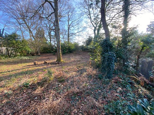 A vendre terrain arboré constructible à bâtir MONT DE MARSAN viabilisé eau et assainissement