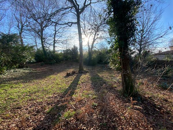 A vendre terrain arboré constructible à bâtir MONT DE MARSAN viabilisé eau et assainissement