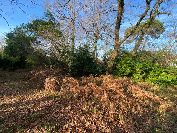 A vendre terrain arboré constructible à bâtir MONT DE MARSAN viabilisé eau et assainissement