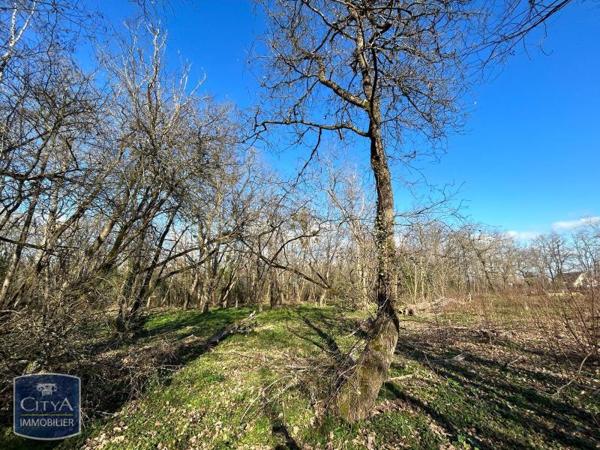 Vente terrain 7995m²