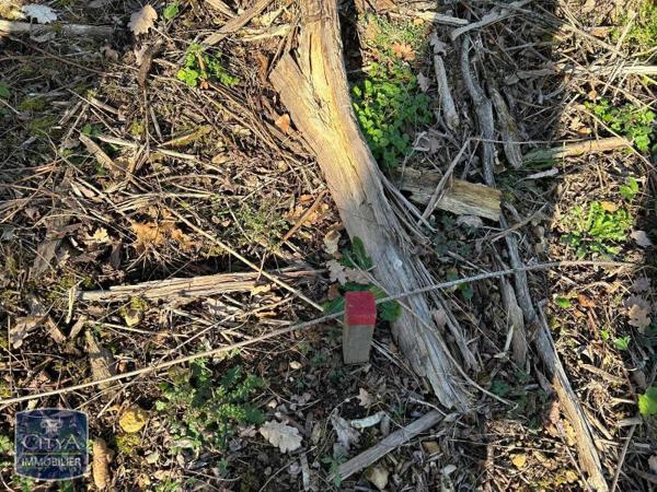 Vente terrain 7995m²