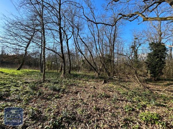 Vente terrain 7995m²