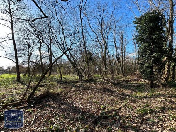 Vente terrain 7995m²