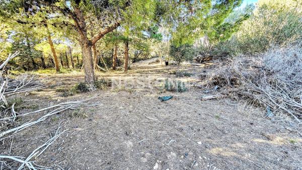 A SAISIR - BÂTIMENT DE 230 M2 AVEC TERRAIN DE 2700 M2 EN PARTIE CONSTRUCTIBLE- VUE ETANGS - PROCHE PLAGES LA F