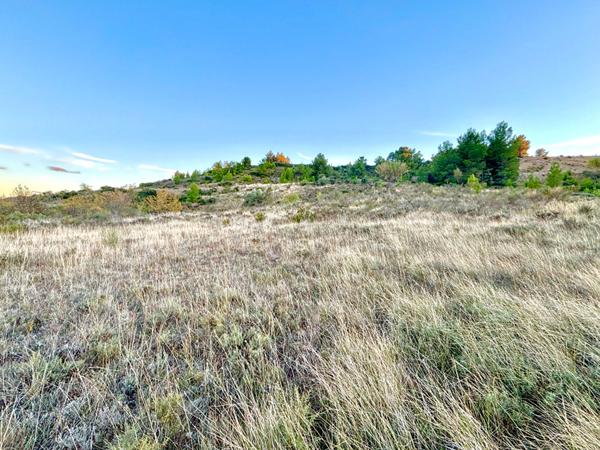 Villeveyrac, Terrain de loisirs 7463m2