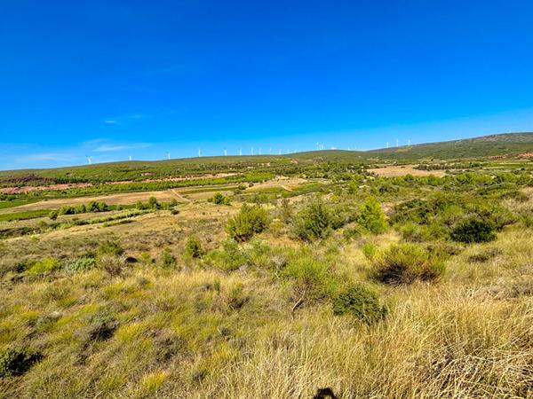 Villeveyrac, Terrain de loisirs 7463m2