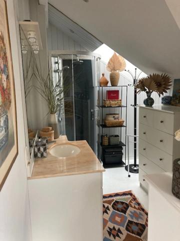 APPARTEMENT RARE DE PAR SON PASSE HISTORIQUE