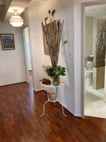 APPARTEMENT RARE DE PAR SON PASSE HISTORIQUE