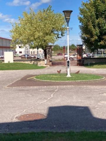 APPARTEMENT RARE DE PAR SON PASSE HISTORIQUE