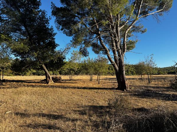 Terrain avec vue imprenable