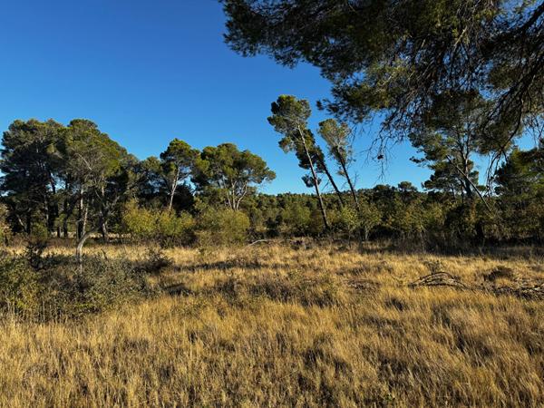 Terrain avec vue imprenable