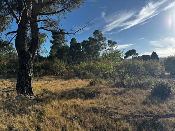 Terrain avec vue imprenable