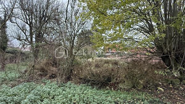 Maison de 18 900 m²