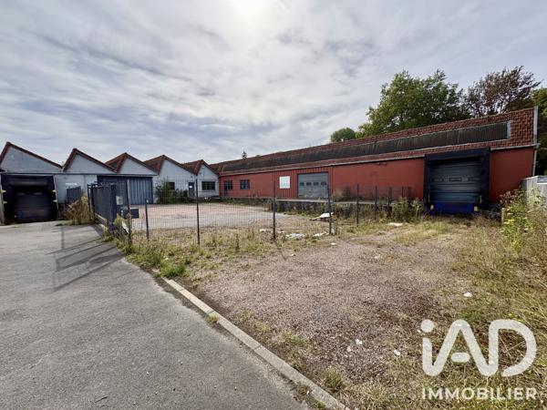Hangar à vendre 3 500 m² Avesnes-les-Aubert