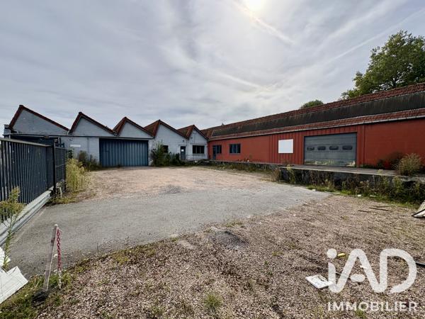 Hangar à vendre 3 500 m² Avesnes-les-Aubert