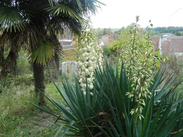 Investissement à Neuilly Saint-Front- Ensemble immobilier 221 m²