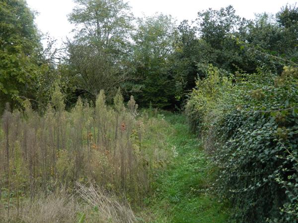 Investissement à Neuilly Saint-Front- Ensemble immobilier 221 m²