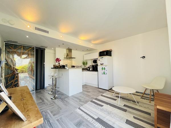 T2 + cabine et Grande Terrasse