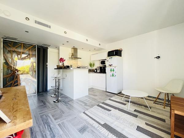 T2 + cabine et Grande Terrasse