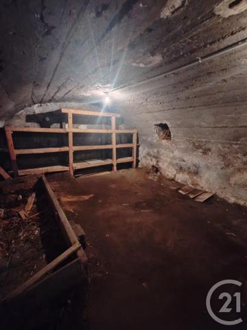 Maison à vendre  4 pièces - 116 m2 MEUNG SUR LOIRE - 45