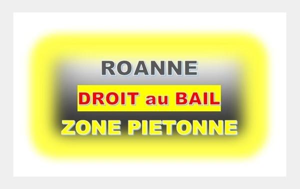 Vente Local commercial Droit au bail Roanne   