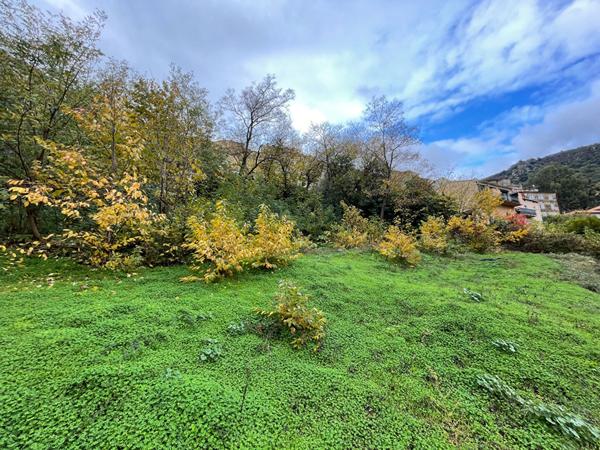 Vente Terrain constructible Oletta - 1271 m²