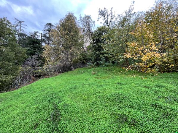 Vente Terrain constructible Oletta - 1271 m²