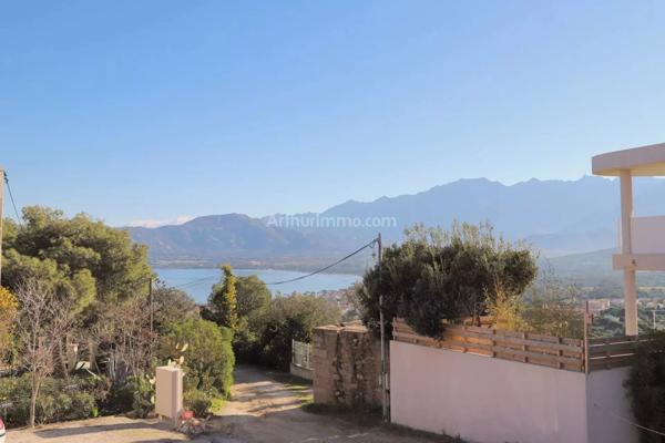Vente Appartement 3 pièces 69 m2 à Calvi